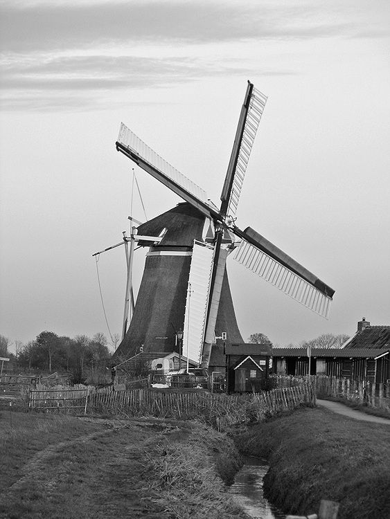 Molen Koningslaagte.